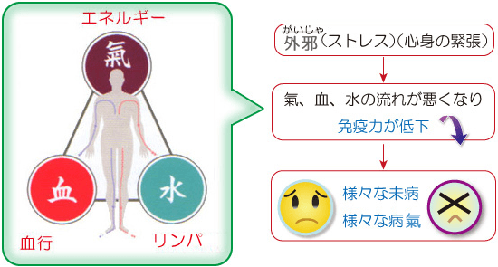 「病氣じゃない」は「健康」じゃない